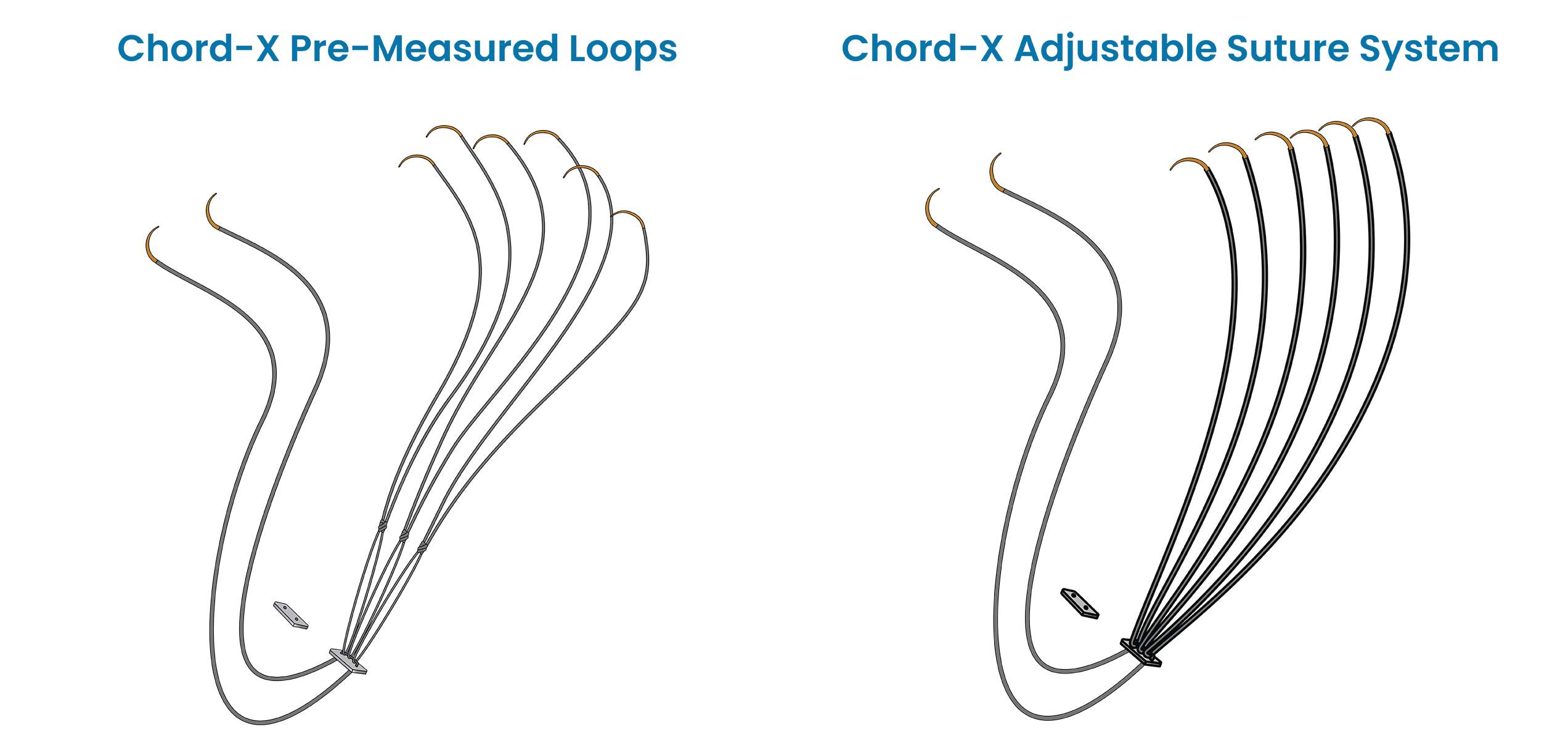US_Chord-X-Product-Overview-2544x1200