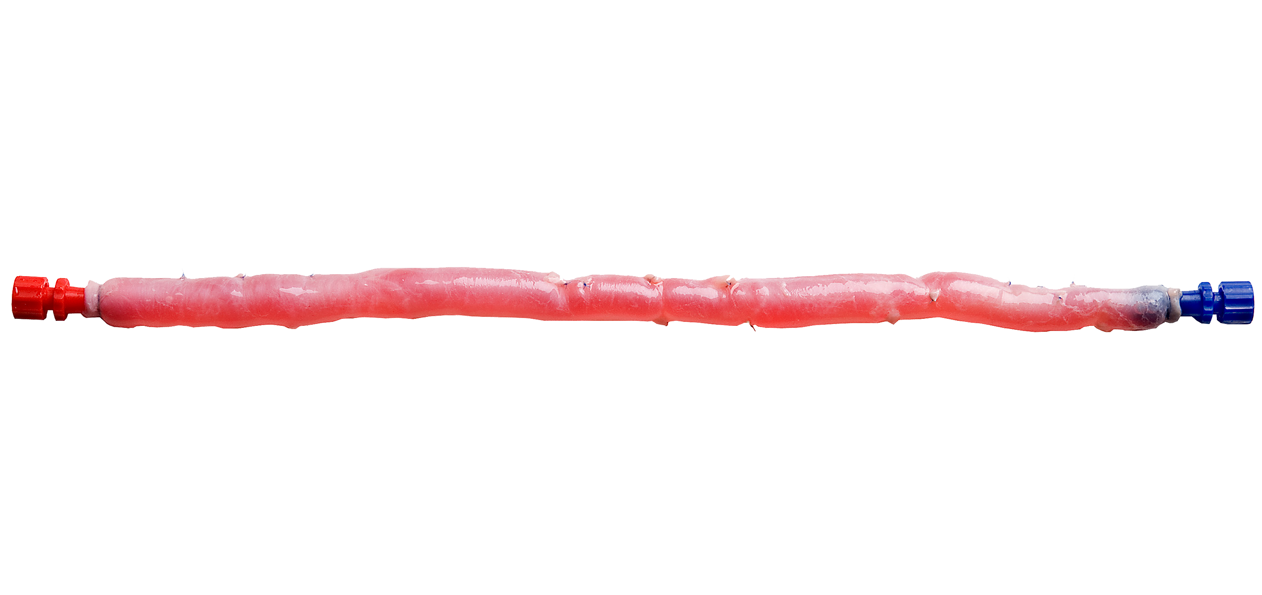 US-CryoVein-Femoral-Design-Features-810x608