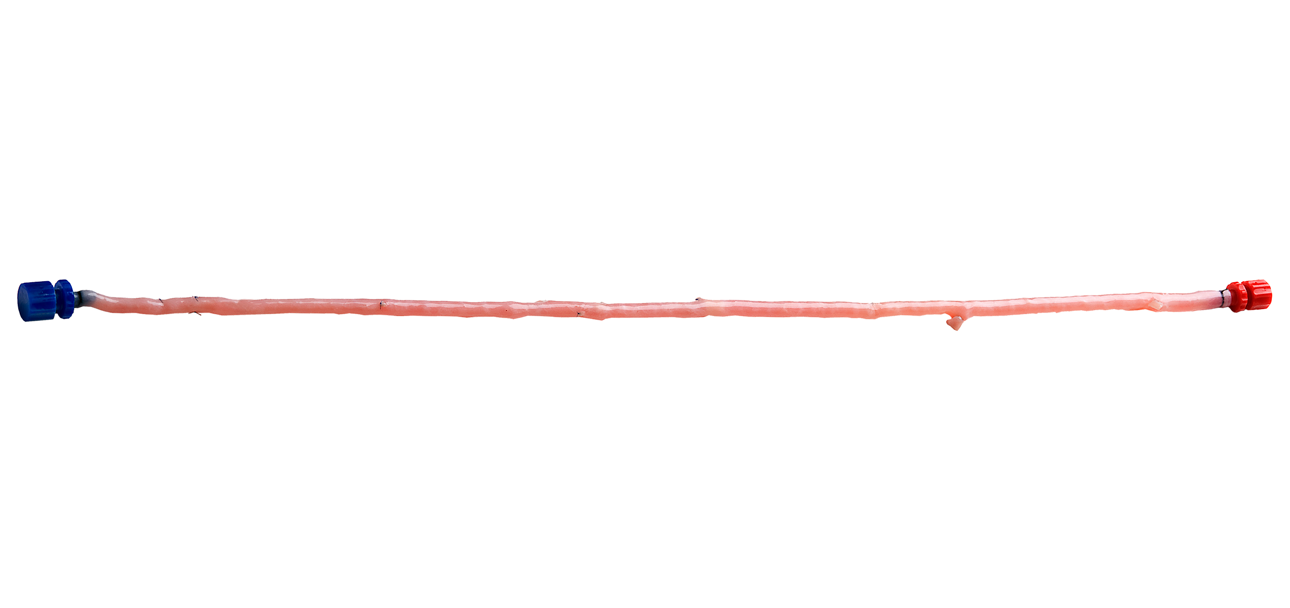 US-Saphenous-Vein-Design-Features-2544x1200