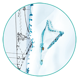 Feature Semibranch