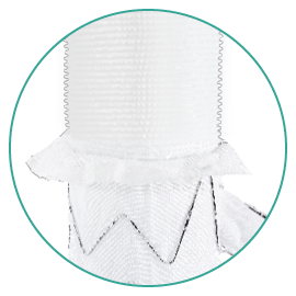 Neo EDE_Collar_Conical_close-up_270x270
