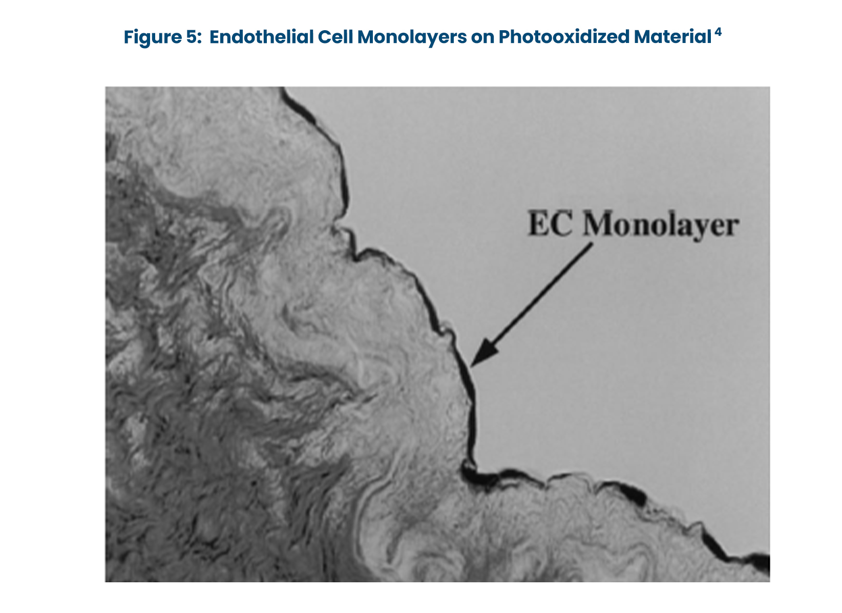 photofix-figure_5_ous