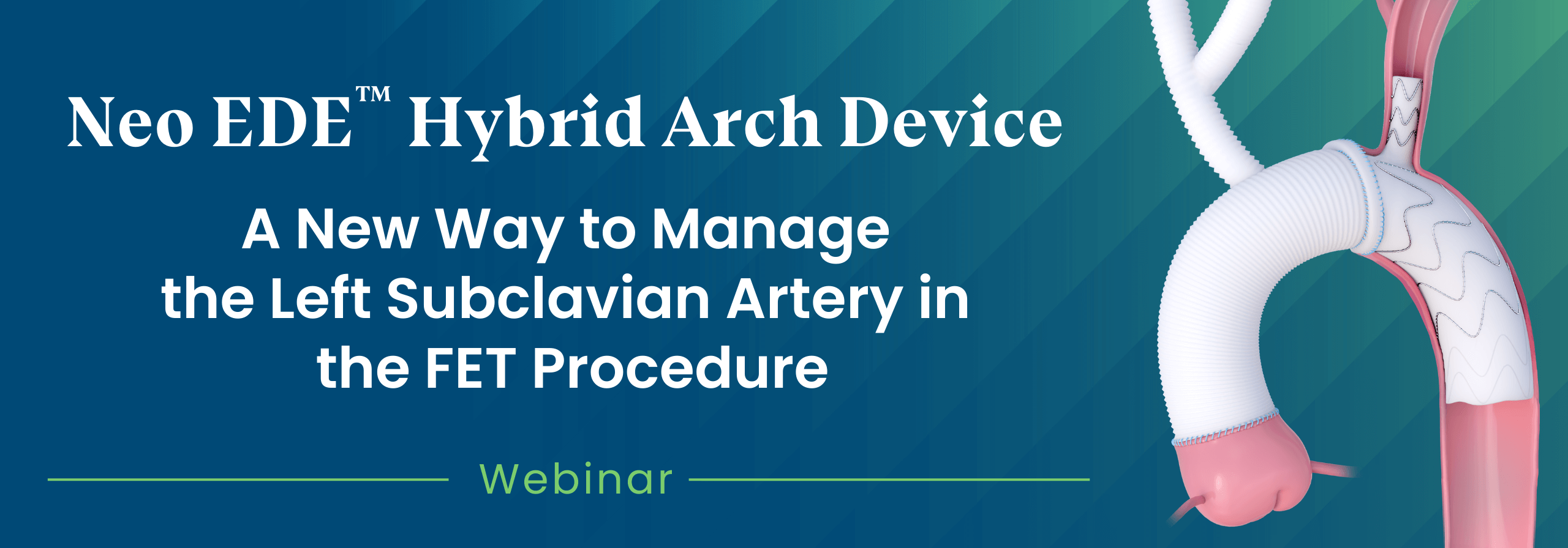 Stenting the Left Subclavian Branch: First-in-Man Frozen Elephant Trunk with a New Custom-Made Hybrid Stent Graft System