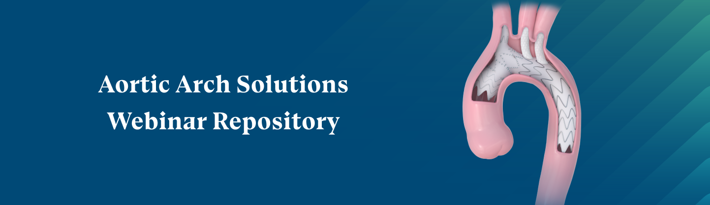 Aortic Arch Solutions
